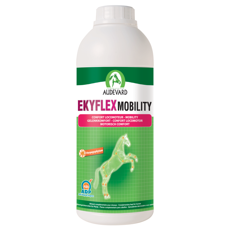 Ekyflex Mobility 1L.png