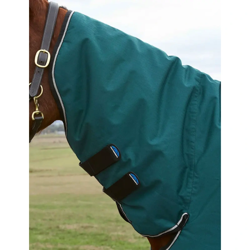 1527-1029026000-forestgreenblack-wb-cft-classic-cmb-220g-neck-image-null-hero.jpg.webp