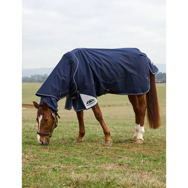 1559-1028772000-navy-wb-cft-ultra-dan-100g-grazing-image-null-hero.jpg.webp