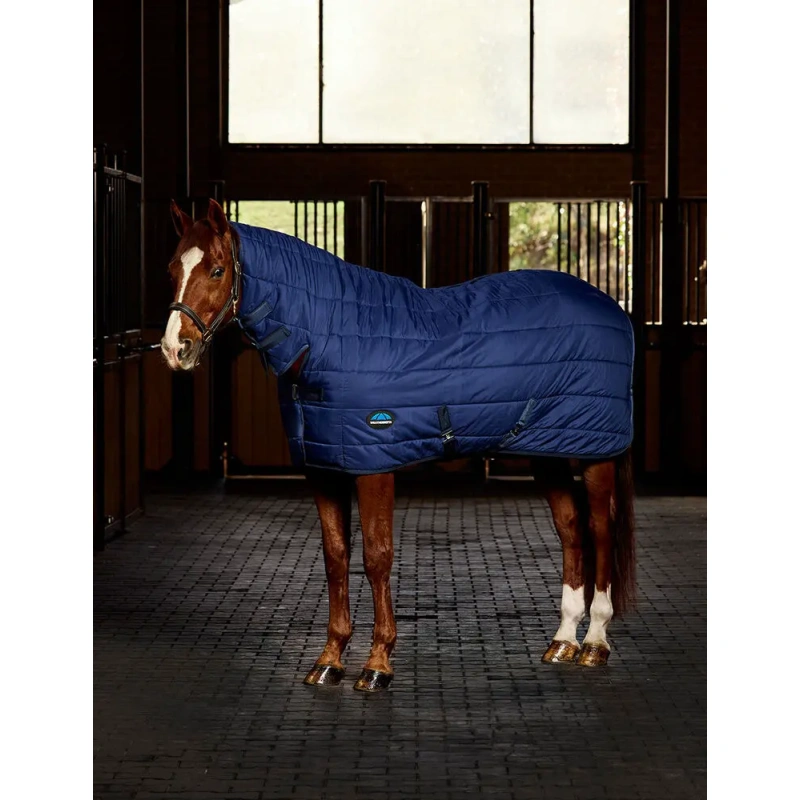 7572-1028797000-navy-wb-under-rug-combo-220g-image-hero-null.jpg.webp