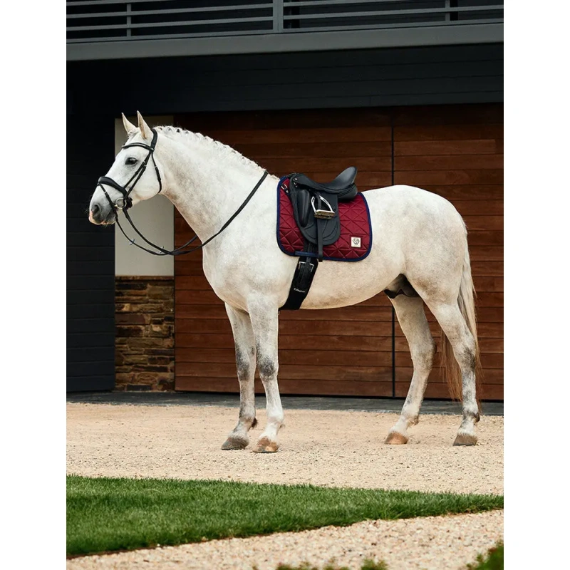 8385-1030348000-burgundy-wb-satin-luxe-air-tec-dr-saddle-pad-lifestyle-image-null-hero.jpg.webp