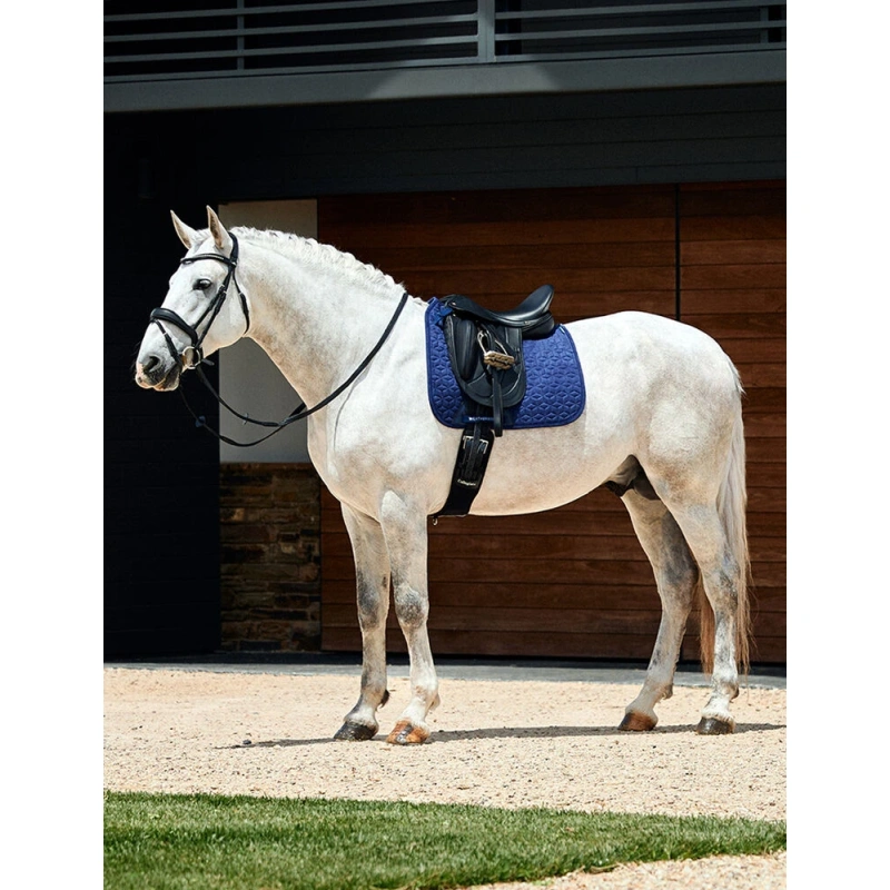 8500-1030346000-navy-wb-suede-elite-air-tec-dr-saddle-pad-lifestyle-image-null-herojpg-2.webp.webp