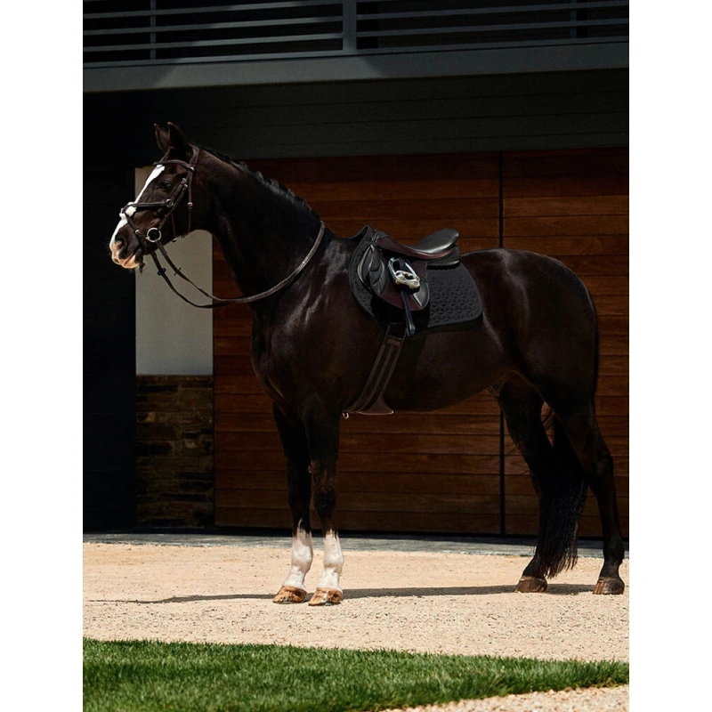 8509-1030347000-black-wb-suede-elite-airtec-jp-saddle-pad-lifestyle-image-null-herojpg.webp.webp