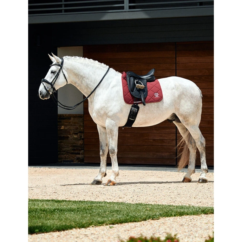 8522-1030351000-burgundy-wb-softshell-pro-3d-air-tec-dr-saddle-pad-lifestyle-image-null-herojpg.webp.webp