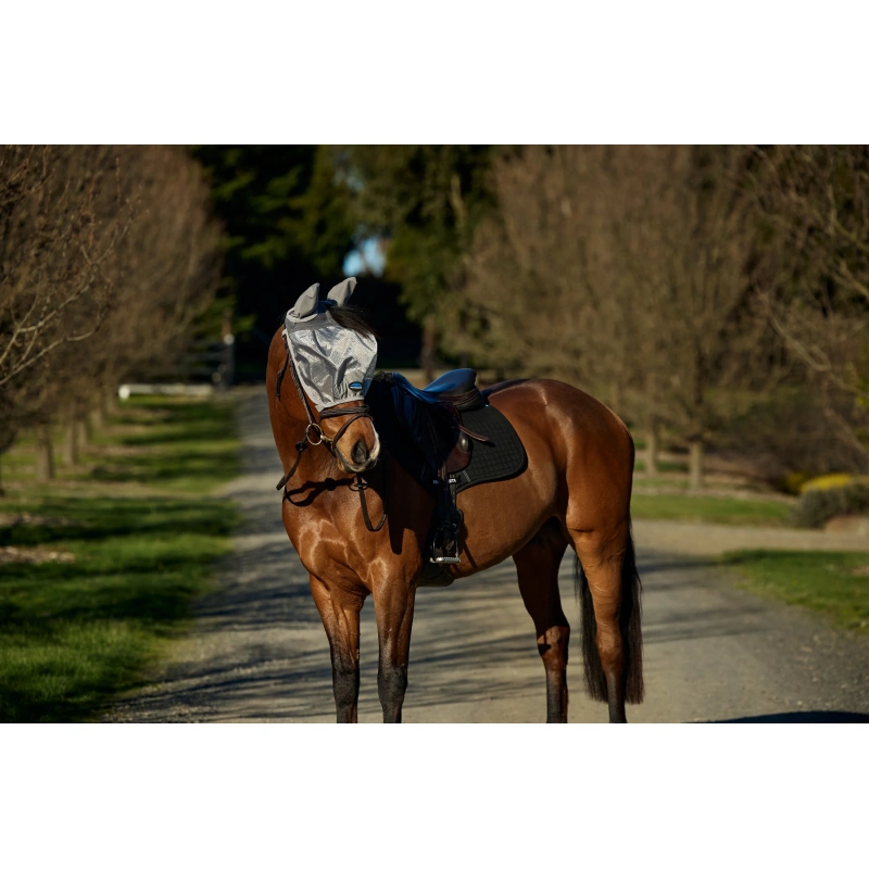 8627-1029740000-silver-wb-cft-hexi-shield-ride-on-fly-mask-image-null-hero-preview.webp.webp