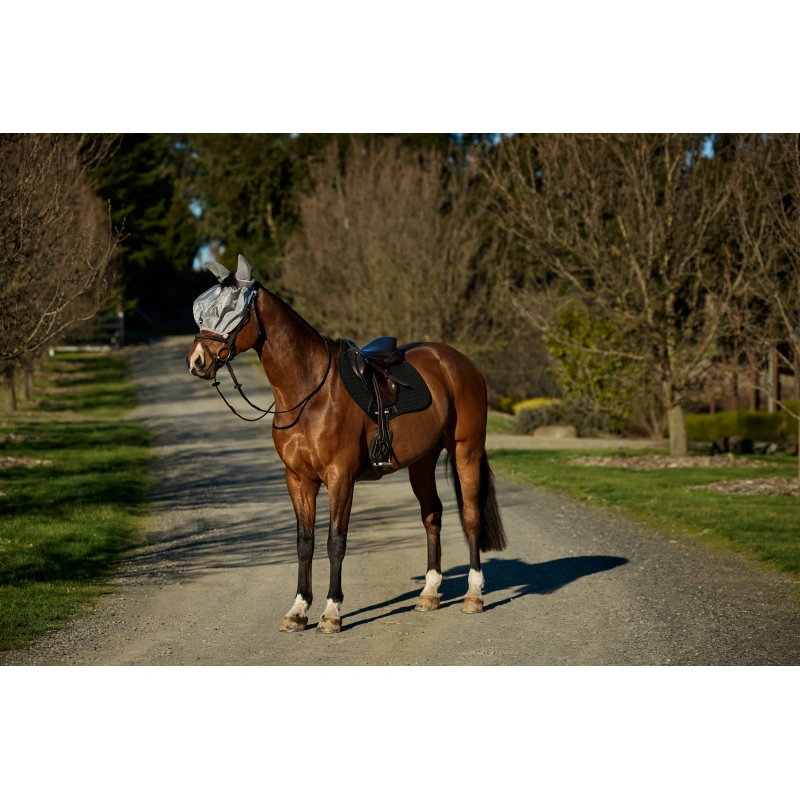 8627-1029740000-silver-wb-cft-hexi-shield-ride-on-fly-mask-preview.webp.webp