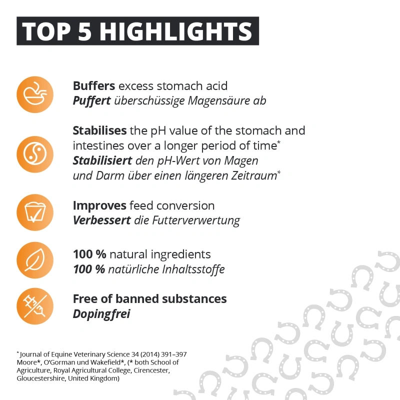 8844-gastric-251009-de-en-1.png.webp