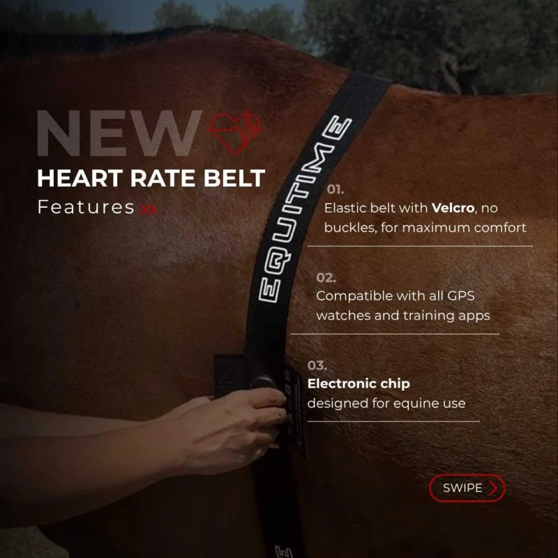9589-equitime-fascia-cardio-per-cavalli-sellati-e-dissellatijpg-2.webp.webp