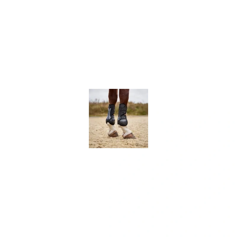 9634-1009211.jpg.webp
