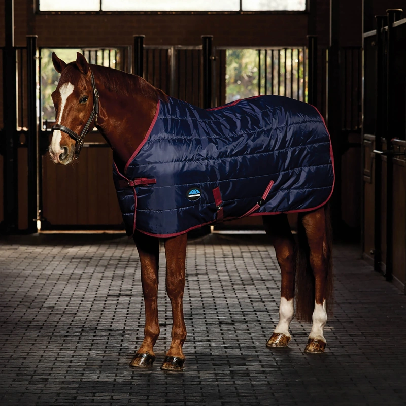 9934-1031484000-navyburgundy-wb-stable-rug-360gm-image-hero-null-preview.webp.webp