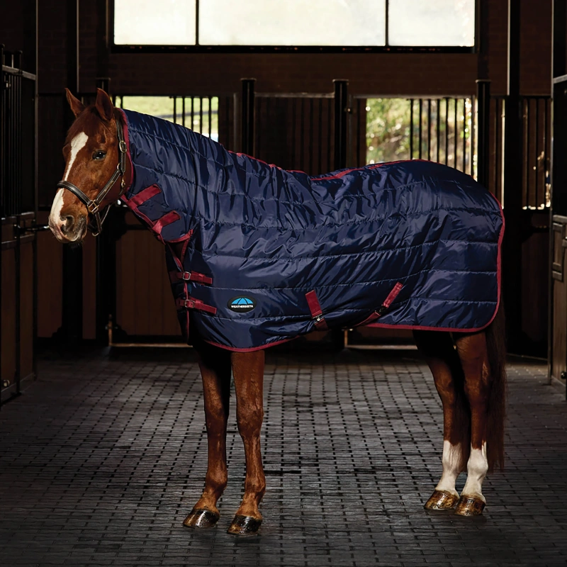 9970-1031483000-navyburgundy-wb-stable-rug-combo-100gm-image-hero-null-preview-3.webp.webp