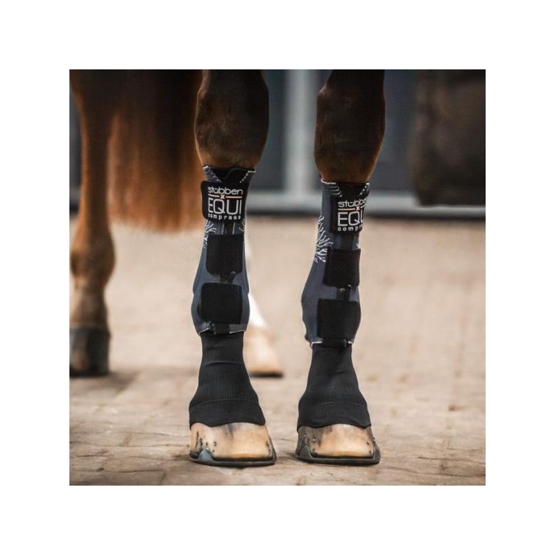 4651-4651_66642008857bb8.01925378_evakristin_231121_equi-compress-1074_1_1__large.jpg
