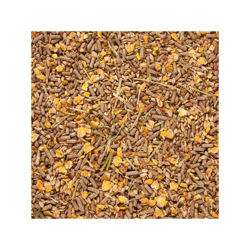 4666-4666_6677c570a30c95.97389576_hoeveler_futter_getreide_mix_gold_large.jpg