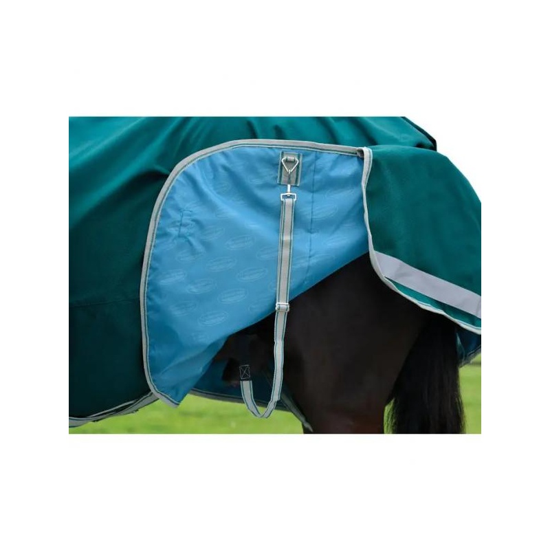 6338-6338_67de3f456b0d50.26945762_1006916000-tealgreenstonetealgreen_wb-cft-pl-dynamic-ii-dan-lite-legstrap_image_null_hero_large.jpeg