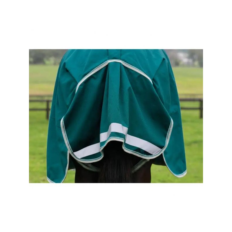 6338-6338_67de3f568049c8.87526589_1006916000-tealgreenstonetealgreen_wb-cft-pl-dynamic-ii-dan-lite-tailflap_image_null_hero_large.jpeg