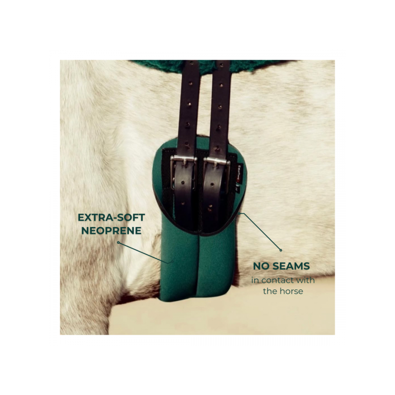6442-6442_67e3bf047764a4.72253200_equitime-girth-tubegirth.jpg_large.png