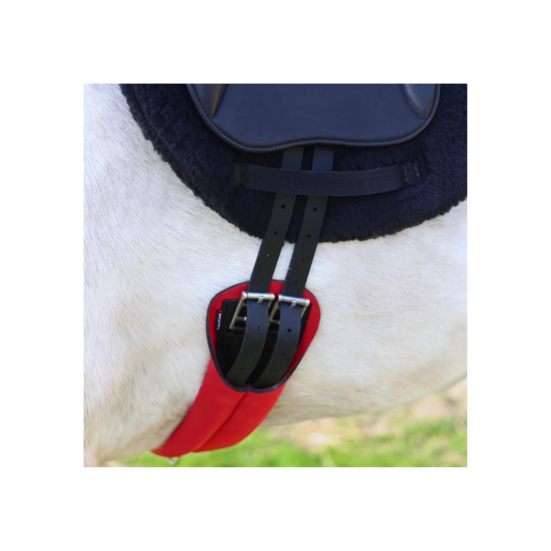 6442-6442_67e3bf2da7b325.92995070_equitime-girth-tubegirth.jpg-3_large.png