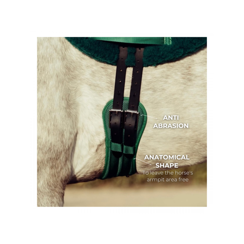 6449-6449_67e3c1318d3535.64877328_equitime-anatomic-girth.jpg_large.png