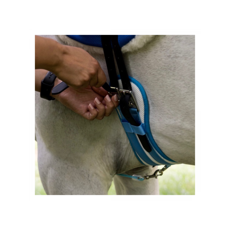 6449-6449_67e3c138db5143.62830710_equitime-anatomic-girth.jpg-3_large.png