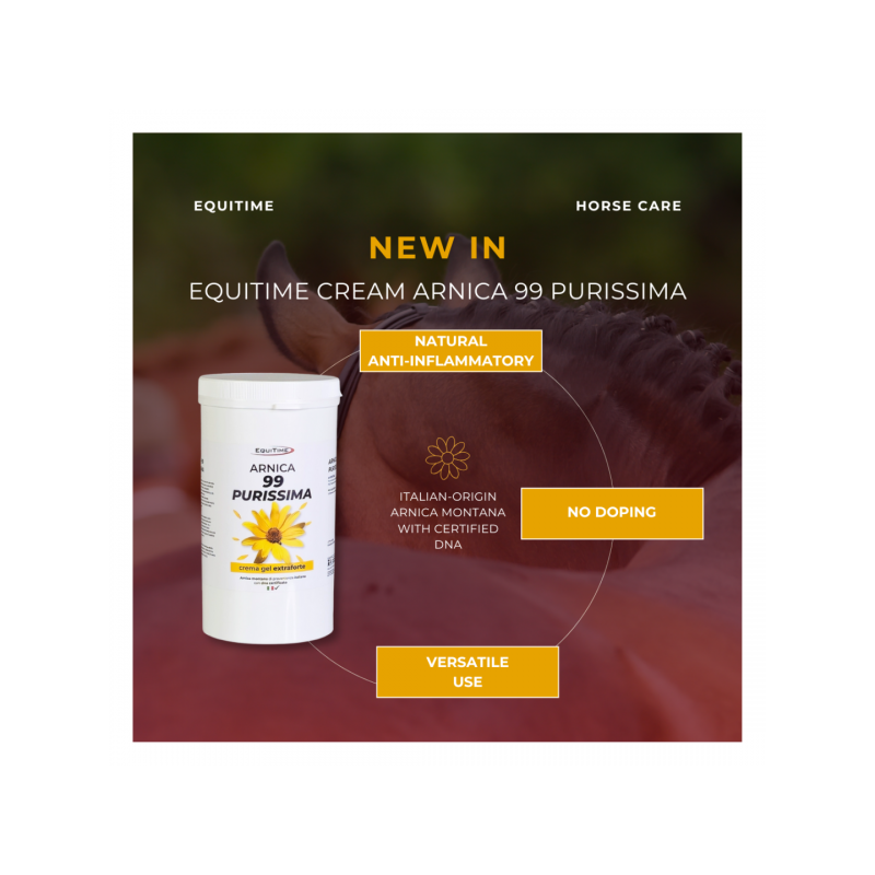 6462-6462_67e652c9363d34.11740738_equitime-cream-arnica-99-purissima-gel-horses-human-use-1-kg.jpg_large.png