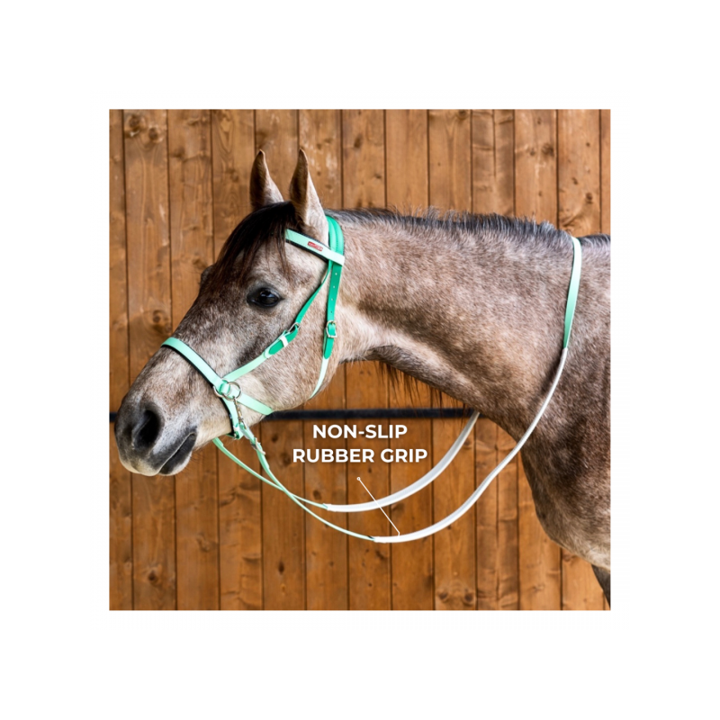 6493-6493_6804bd8292c132.21369703_equitime-reins-in-biothane.jpg_large.png