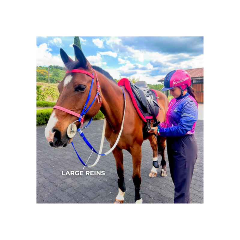 6493-6493_6804bd8d732841.33594374_equitime-reins-in-biothane.jpg-2_large.png