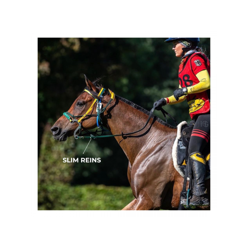 6493-6493_6804bd9d785d54.54924697_equitime-reins-in-biothane.jpg-3_large.png
