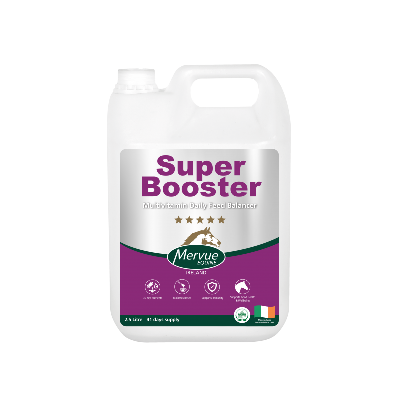 Mervue SuperBooster - täiendsööt sooritusvõime tõstmiseks