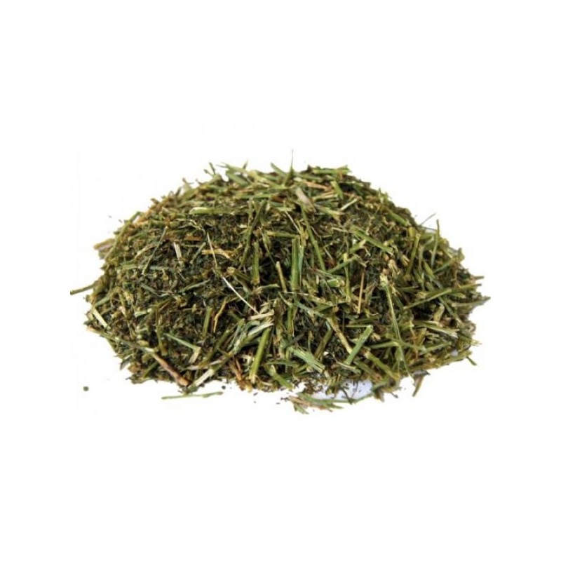 Purustatud lutsern (alfalfa) 15 kg 