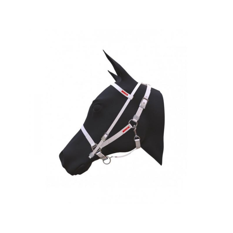 Equitime Easy Model kestvusvaljad 