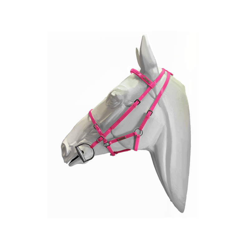 757-757_64a05e6490dad5.43841999_bridles_diamond_pinkpk311_1000x_large.png