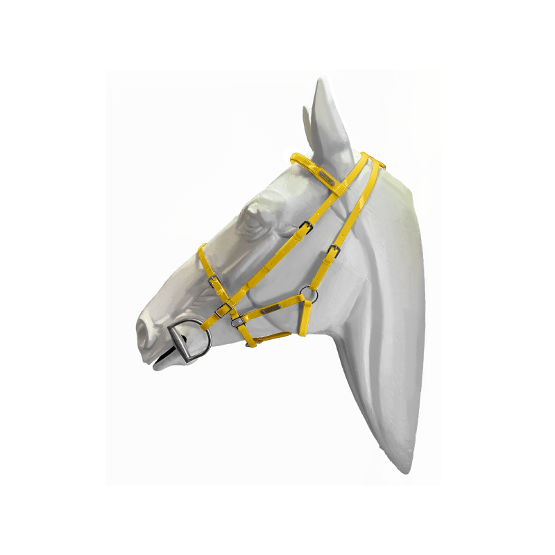 757-757_64a05e9e903da6.34322165_bridles_diamond_yellowye101_1000x_large.png