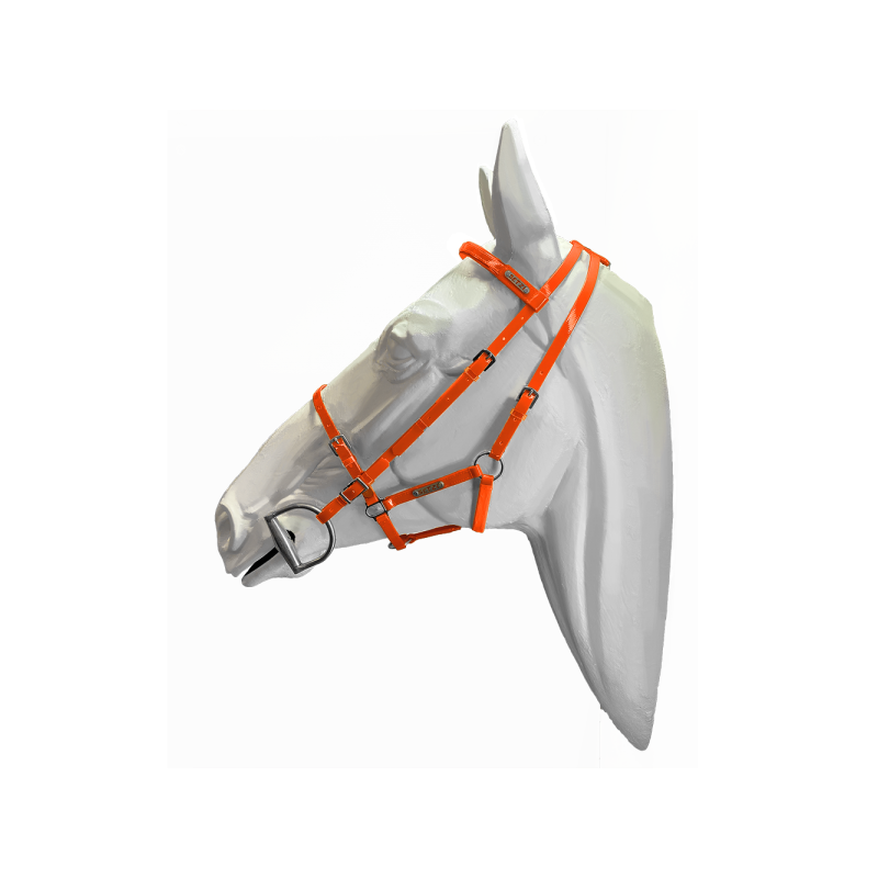 757-757_64a05ea651be70.03048451_bridles_diamond_orangeor315_1000x_large.png