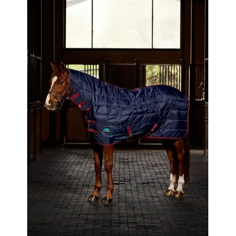 WEATHERBEETA COMFITEC 210D CHANNEL QUILT kaelusega 220 g tallitekk 