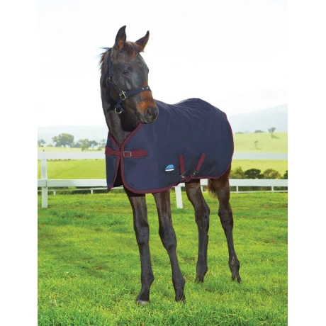WEATHERBEETA 1200D FOAL STANDARD NECK MEDIUM II - kaeluseta 1200DEN varsatekk (220g)