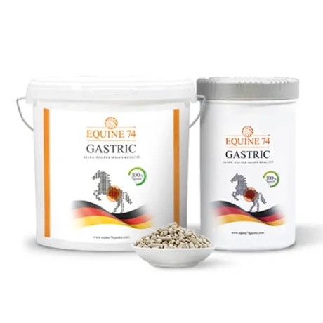 Equine 74 Gastric 