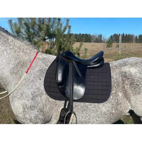 Prestige Roma koolissõidusadul