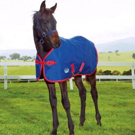 WEATHERBEETA 1200D FOAL STANDARD NECK MEDIUM II - kaeluseta 1200DEN varsatekk (220g)