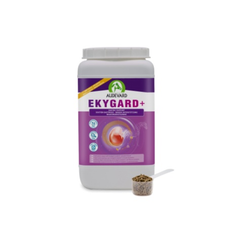 Audevard Ekygard 2.4kg