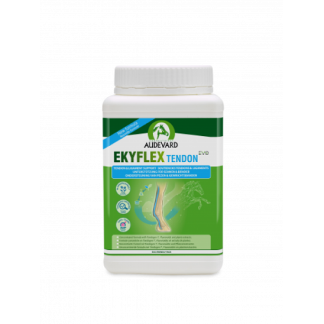  Audevard Ekyflex Tendon EVO 900gr