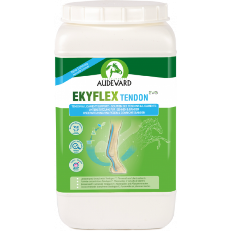 Audevard Ekyflex Tendon EVO 1,8kg