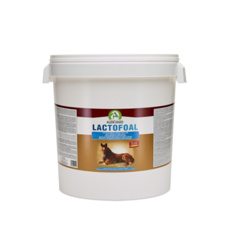 Audevard Lactofoal 14kg - piimaasendaja