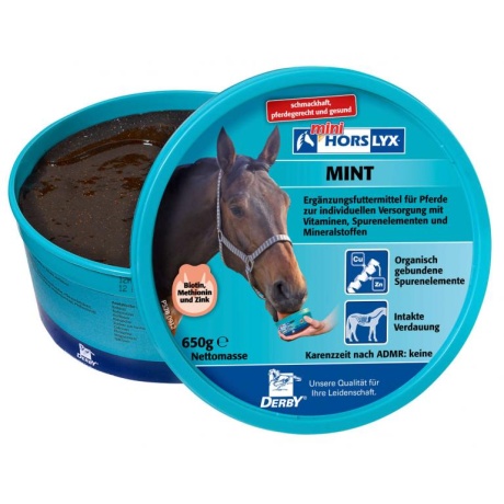 HORSLYX Mint 650 gr, lickit