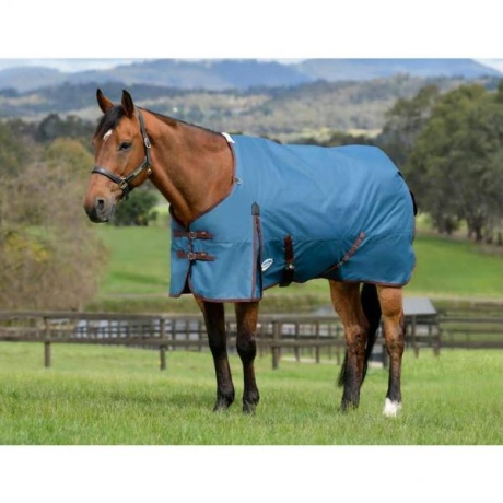WEATHERBEETA COMFITEC CLASSIC STANDARD NECK MEDIUM 600DEN ja 220g kaeluseta õuetekk