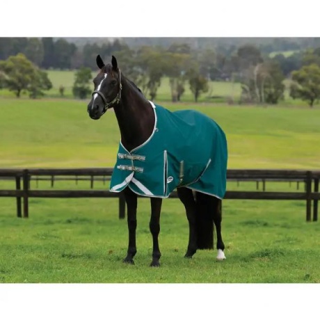 WEATHERBEETA COMFITEC PLUS DYNAMIC II STANDARD NECK LITE - kaeluseta 1200DEN ja 0g õutekk