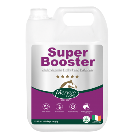 Mervue SuperBooster - täiendsööt sooritusvõime tõstmiseks