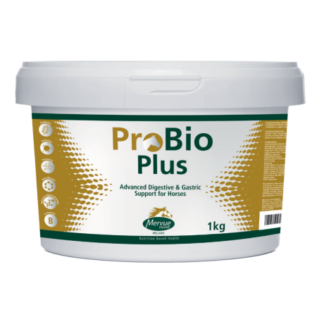 Mervue Equine ProBio Powder 1kg