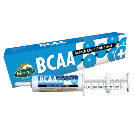 Mervue BCAA pasta 60 ml - aminohappeid sisaldav pasta