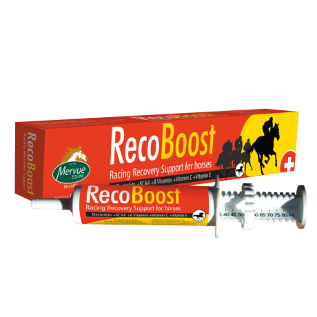 Mervue RecoBoost 80 ml - taastumist kiirendav pasta