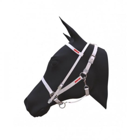 Equitime Easy Model kestvusvaljad 